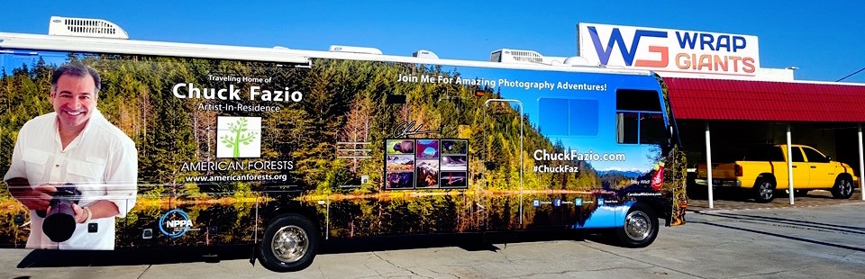 Long commercial trailer graphics