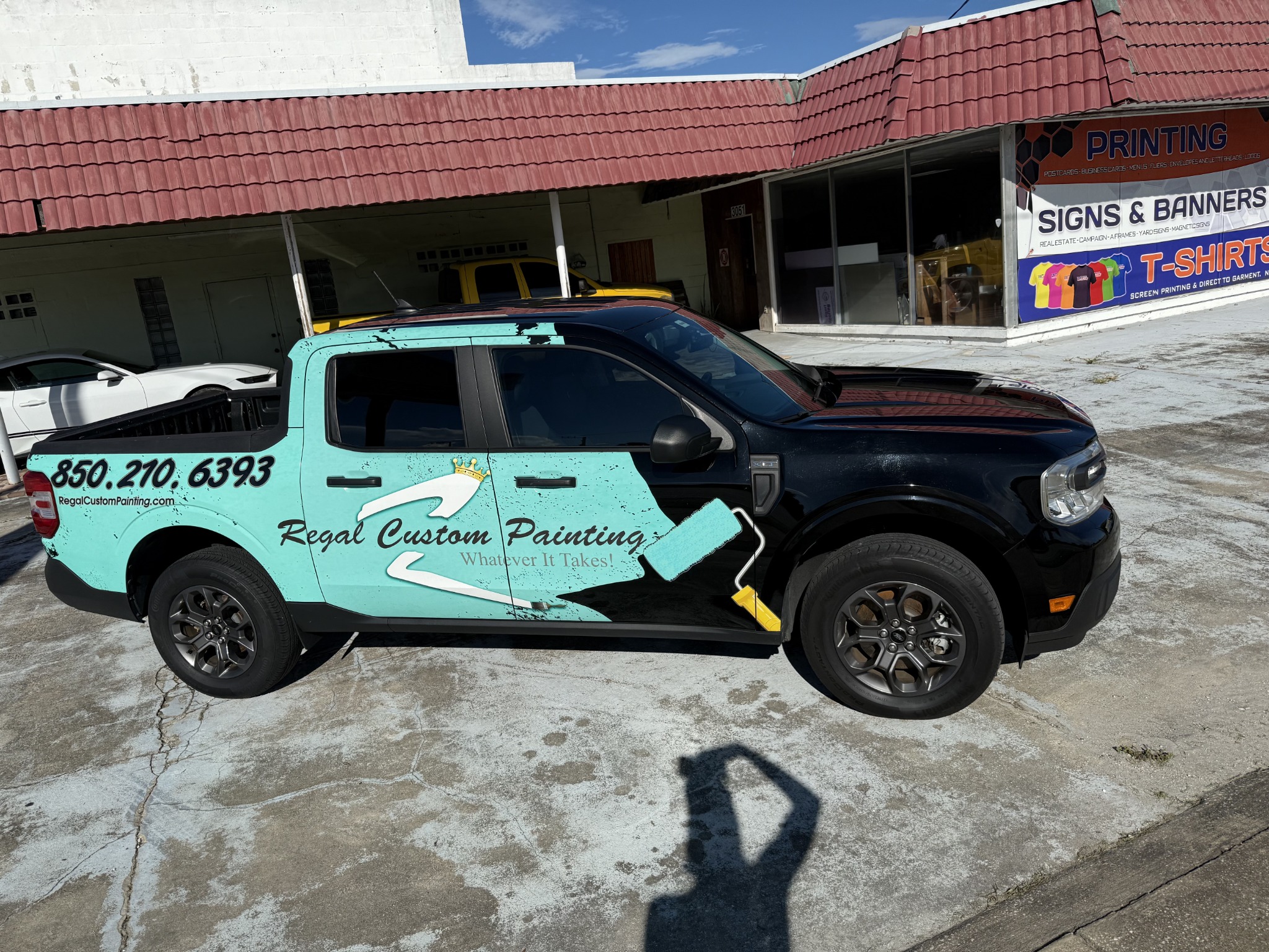 Pest control pickup graphics