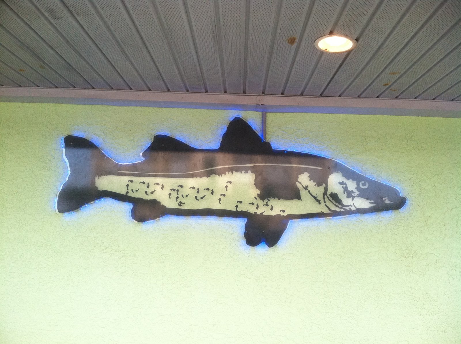 Custom fish-shaped sign graphic